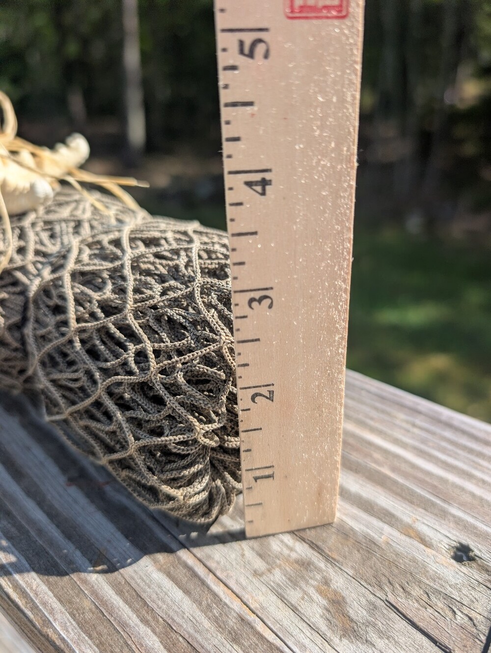 Nautical Net | Starfish - Picture 4 of 8